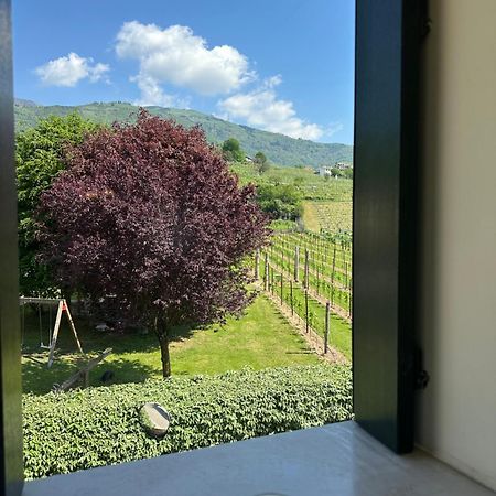Casa Vacanze Ricca Vigna 瓦尔多比亚德内 外观 照片